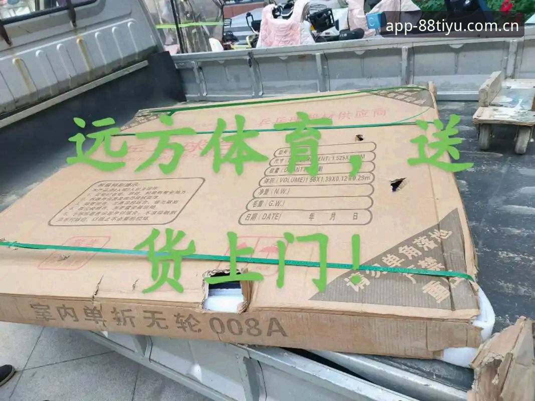 体育安全吗？官方入口 vs 第三方应用：一场关于信任与效率的全面对比